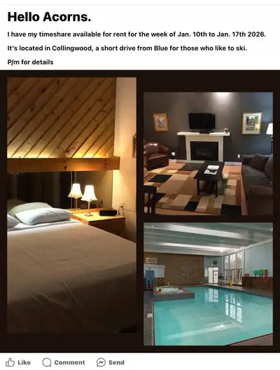 Collingwood Timeshare Week January 2026, View more