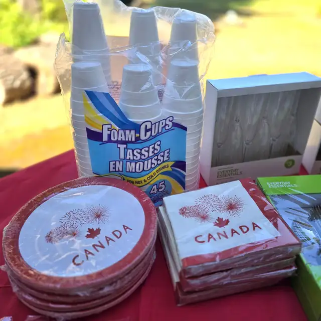 Holiday Package All Quality Disposable Serving Set431543468814520321