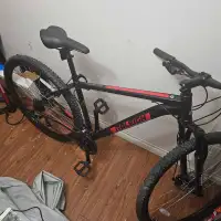 Raleigh mountain bike 