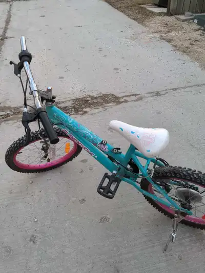 the bike is in a good condition only the front handle is broken