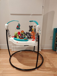 Fisher-Price Baby Bouncer Animal Wonders Jumperoo Activity Cente