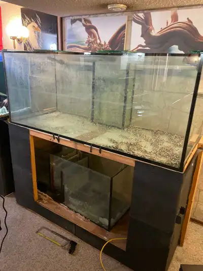 150 Gallon Salt Water Tank, View more