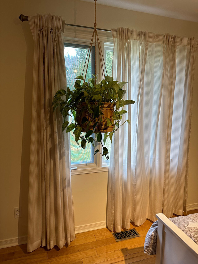 IKEA curtains in Window Treatments in Trenton - Image 3