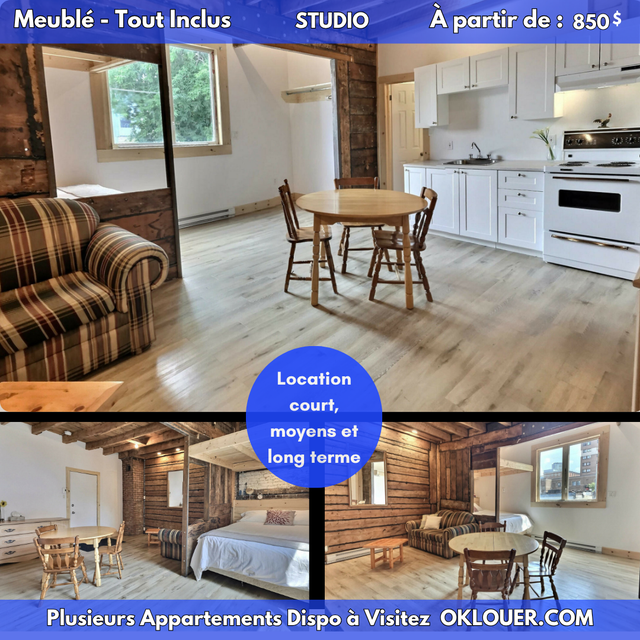 STUDIO MEUBLE-TOUT INCLUS EN CENTRE VILLE