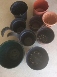 Garden Plants Pots