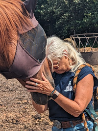 Healing with Horses: Grief Retreat