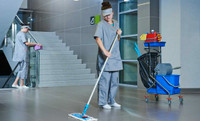 Cleaner- House, business, Commercial