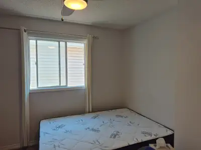 One beautiful room for rent all inclusive up floor if interested call me sam 4376882440.