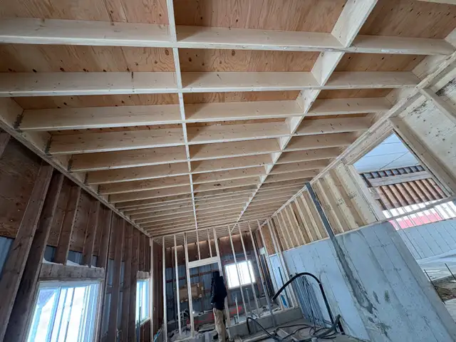 Framing/Roofing/siding /Renos!!443776348529643522