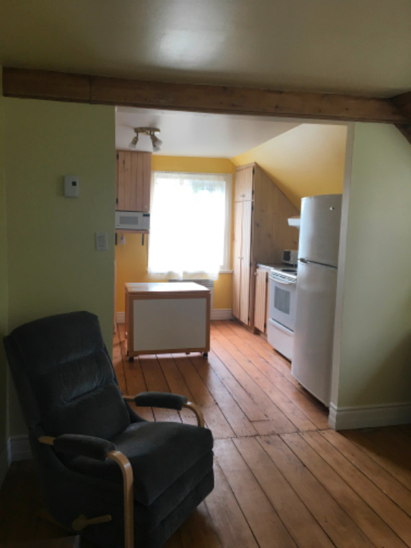 Appartement à louer à Portneuf à partir du 1er août dans Locations longue durée  à Ville de Québec - Image 2