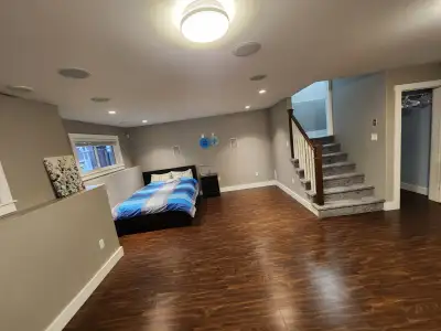 Bright, fully furnished bachelor basement in a high end West Bedford neighborhood. Large windows wit...