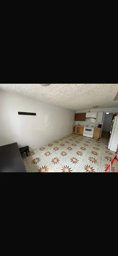 3 1/2 a louer collocation Disponible 1er juillet Bail de 12 mois Idéale pour une ou deux personnes m...