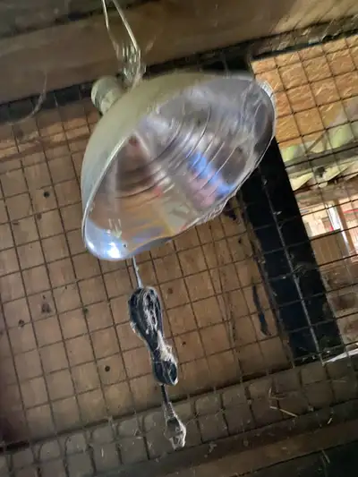 heat lamp, View more