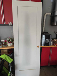 Brand new solid door frosted glass 28" x 80"