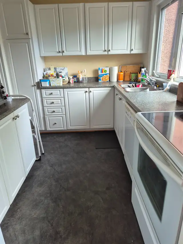 Room (basement), bathroom facilities and living room amenities. in Short Term Rentals in Ottawa - Image 4