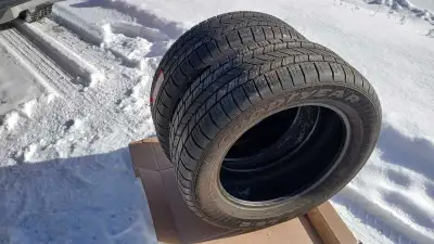 Goodyear Eagle LS-2 275/55R20. 8/32nd tread USE THE PHONE 819-230-9767 $120. CASH for the pair