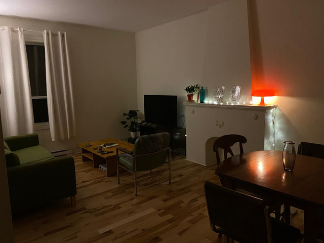 1 Bed 1 bathroom Apartment dans Locations longue durée  à Ville de Montréal - Image 3