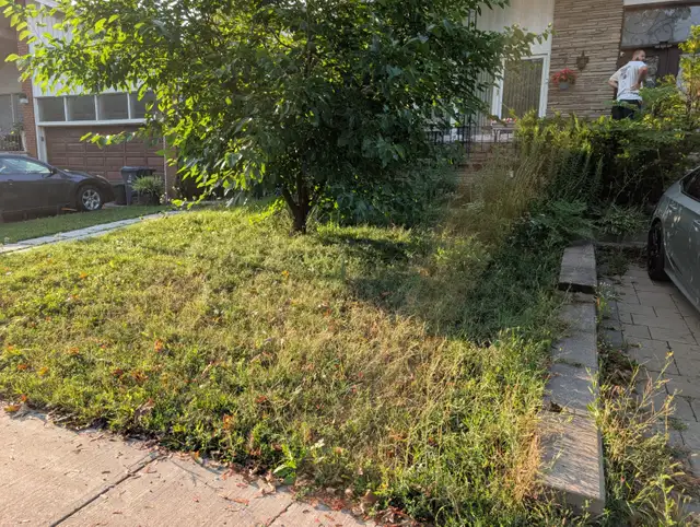 Gardening Services537541463622952967