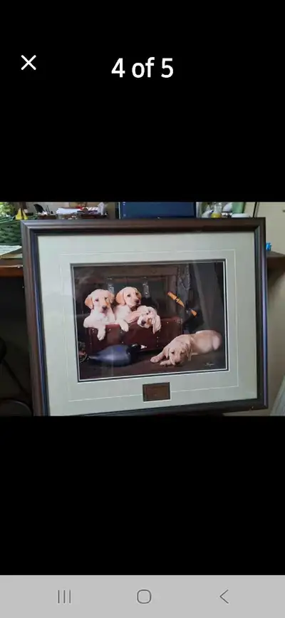 Labrador Puppy Print, View more