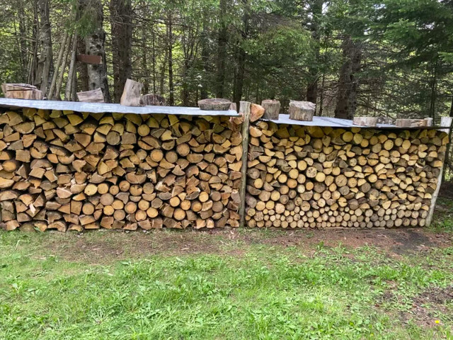 Bois de chauffage dans Autre  à Thetford Mines