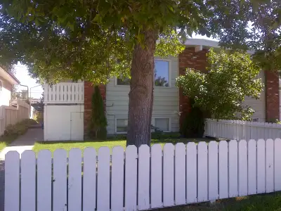 Newly Renovated 1 Bedroom Bsmt Suite 5 Min Walk to Anderson LRT