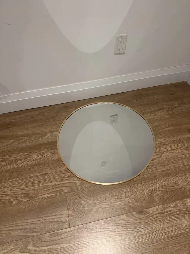 Oval Mirror450230169968977920