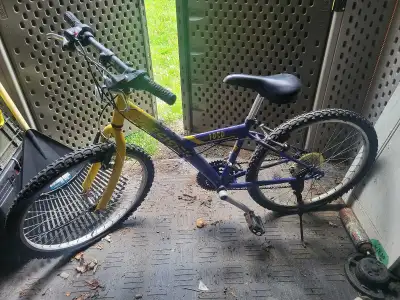 Youth or kid bike 22", View more