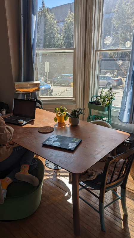 Gorgeous apartment for summer sublet (single room) in Short Term Rentals in City of Halifax