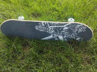 Death valley Skateboard