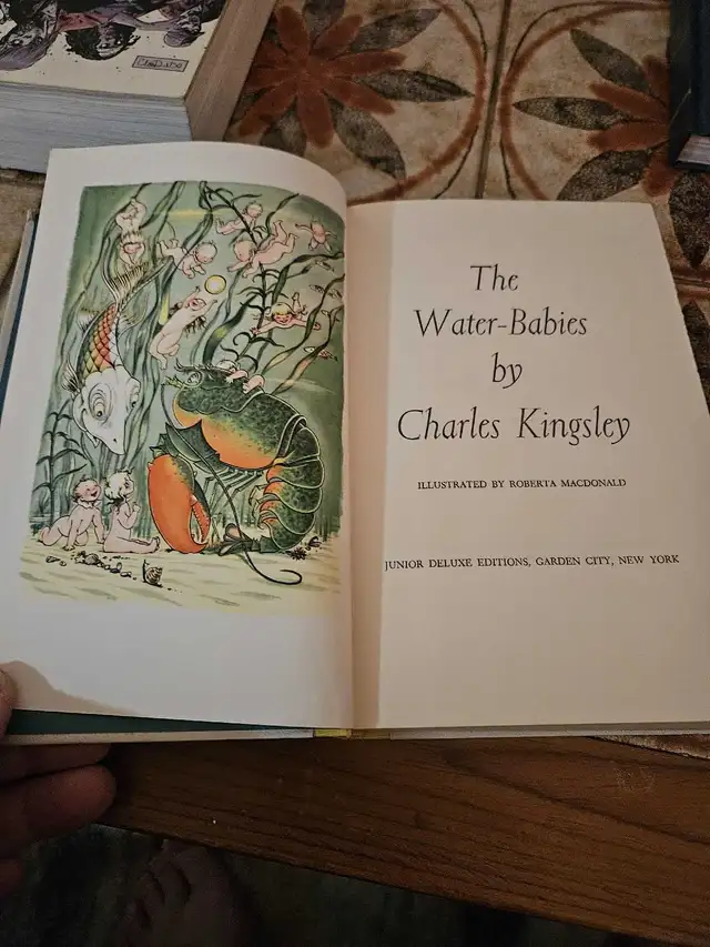 The Water Babies Book in Children & Young Adult in Sudbury - Image 4