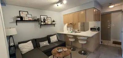 2-Bed DT Condo For Rent - Steps to UofT and Wellesley Station