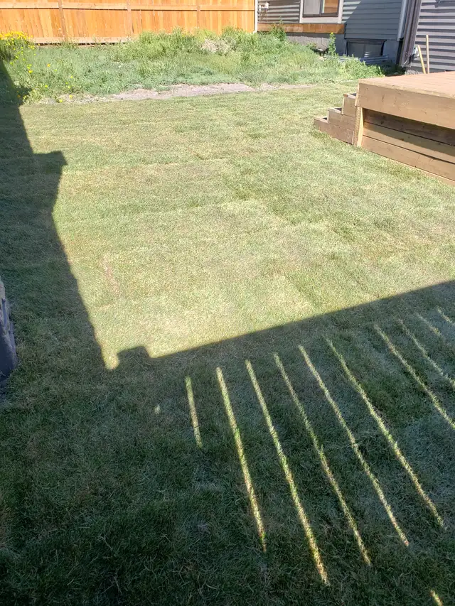 Fence building and small landscaping62863717403010121
