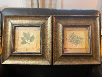 2 Framed Pictures