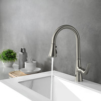 VISENTIN Touchless PullDown/Chrome/Brush Nickel Kitchen Faucet