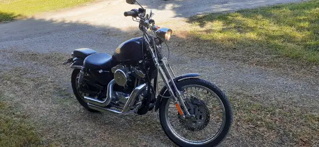 2002 Harley Springer Sportster in Street, Cruisers & Choppers in Oshawa / Durham Region - Image 3