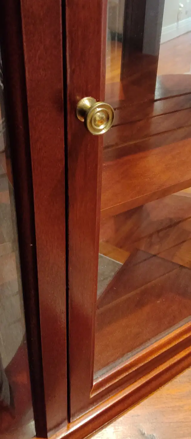 BOMBAY Company - Wall Mounted Mahogany Curio Cabinet in Hutches & Display Cabinets in Markham / York Region - Image 5