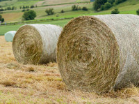 Looking for Hay/Straw Land to Bale
