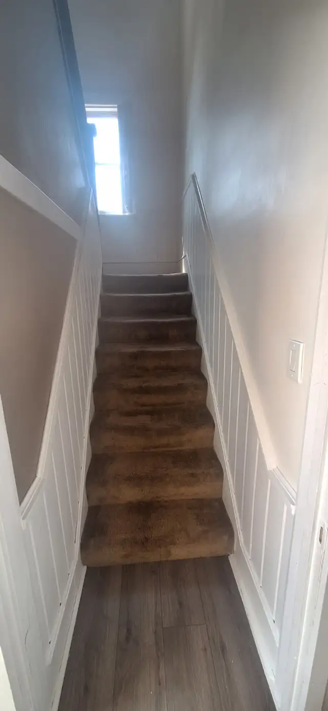 Professional Female Painter63735895970819122