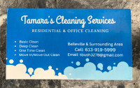 Experienced Residential and Commercial Cleaner