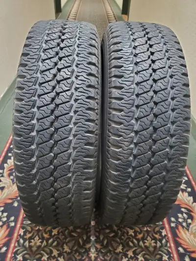 Good day all. I have 2 Bridgestone LT 225/75R16. no weather cracking, no holes, plugs, patches, repa...