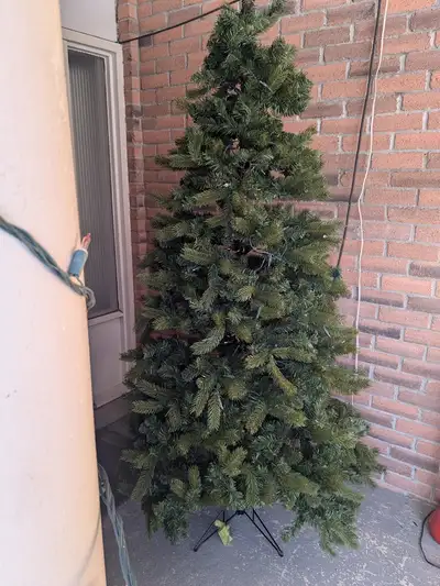 Christmas Tree, View more