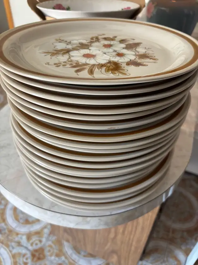 Vintage Mountain Wood Dinner Plates63373409448961122