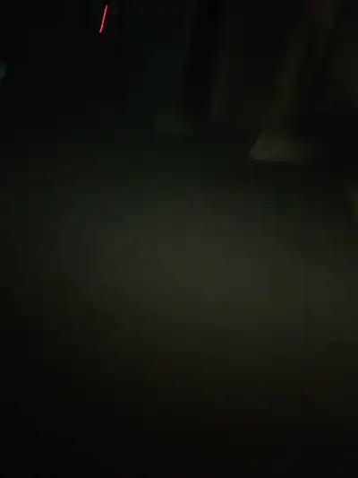 My name is Alexis, and I am currently seeking a two-bedroom apartment for myself, my husband, and my...