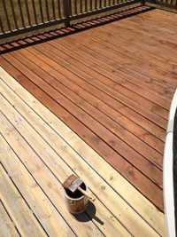 Fence & deck staining & painting restoration 