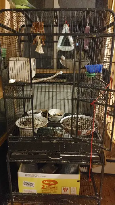 Several Parrot birds parakeets Cage for sale, View more