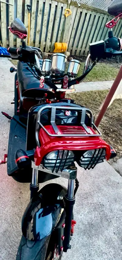 Custom MONSTER EMMO E-Bike, View more