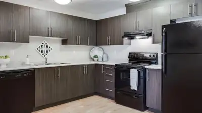 2 Beds 1 Bath Beautiful Apartment close to UofM