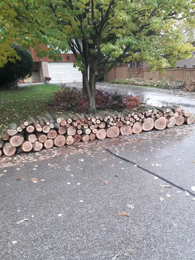 free hardwood firewood, View more