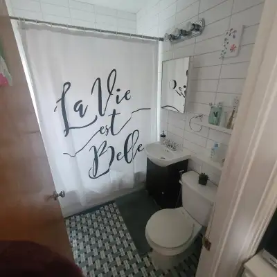 3 1/2 in Lasalle , appliances and wifi included