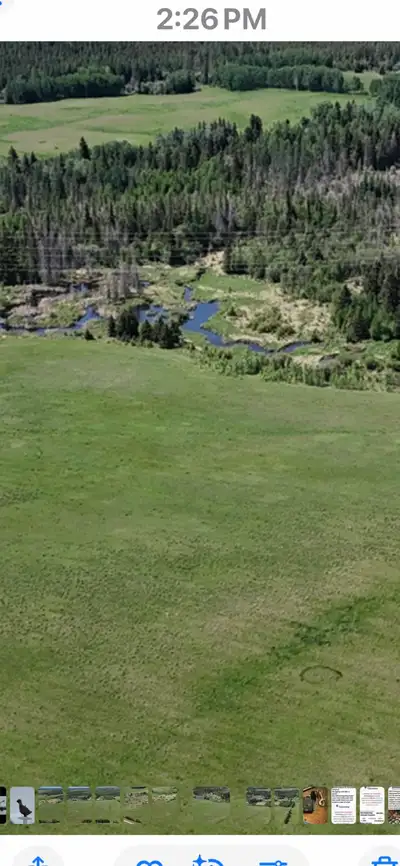 Raw land 40 acres great for off grid living , market gardens, farming , hay land, ETC…very quiet are...